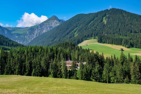 Waldruhe Das kleine Ferienhotel (Kartitsch)